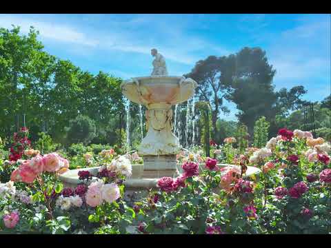 8Dio Studio Quartet - Studio Violin,Viola,Cello k-strike “Gardener”