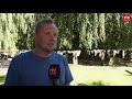 Treurbeuk uit Gieten in de race voor mooiste boom van Nederland