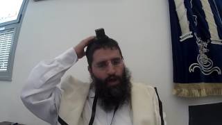 עוף לחג או חיים של ילד? סיפור מצמרר במיוחד!!
