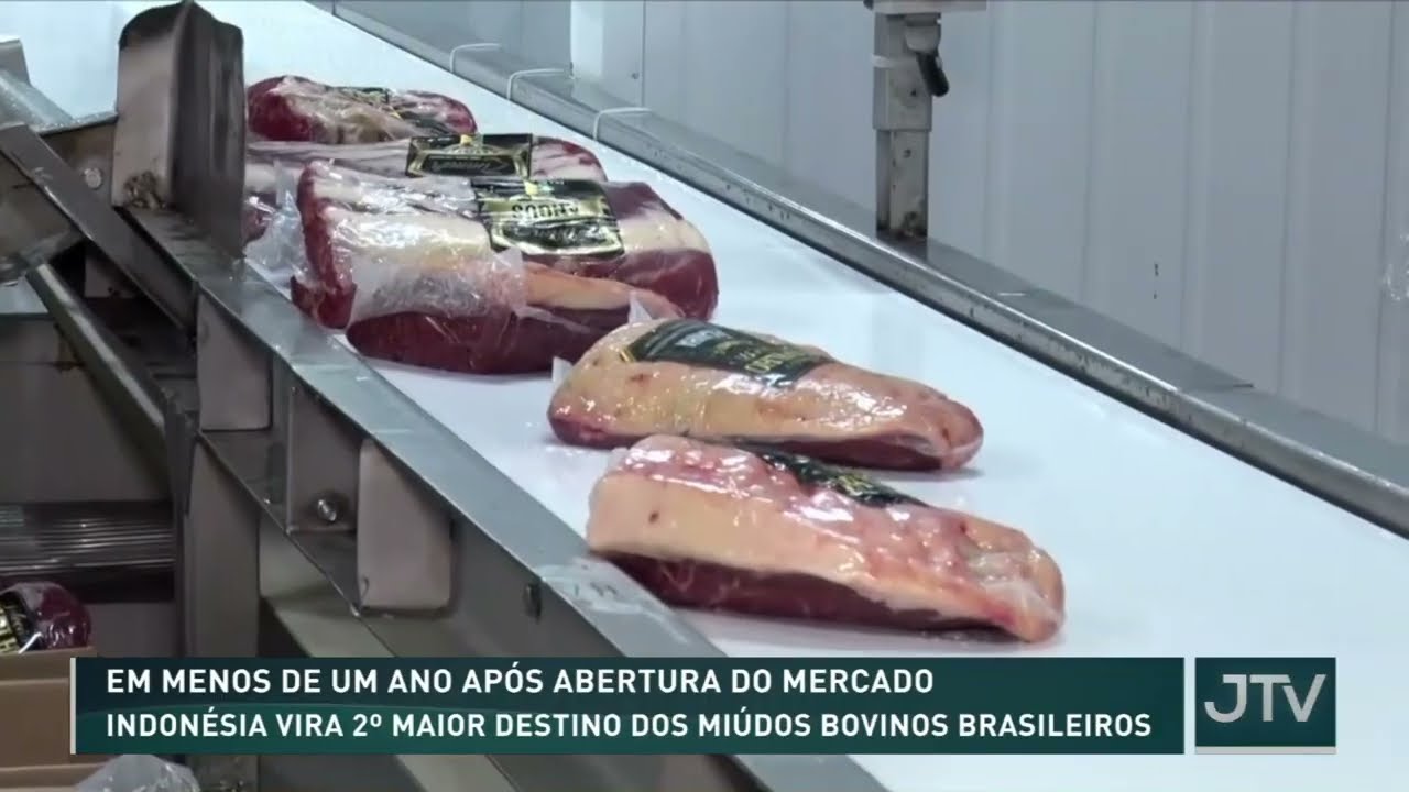 Indonésia vira 2º maior destino dos miúdos bovinos brasileiros