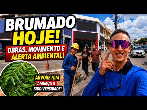 🌳 CAMINHADA POR BRUMADO | OBRAS DA AV. CENTENÁRIO E O ALERTA SOBRE A ÁRVORE NIM