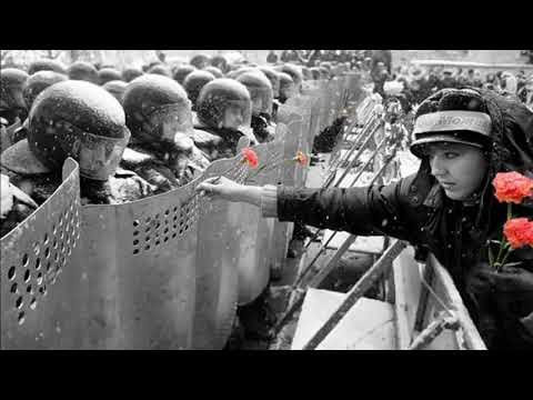 Dobrado Verde e Branco #9