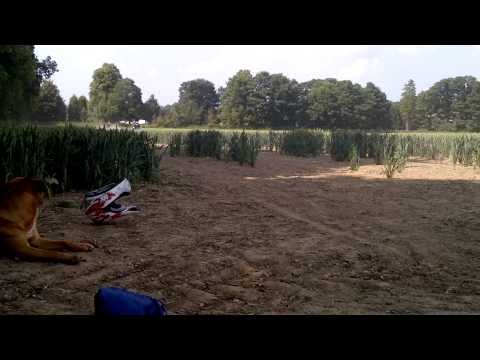 Wpb 140cc Stomp 110cc & Wpb 110 Boyo