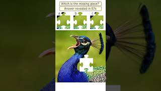 Peacock photo missing piece puzzle  #puzzle #picturepuzzle #peacock