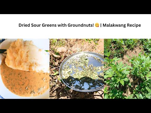 How to cook dried Malakwang and groundnuts/Ugandan sour leaf recipe