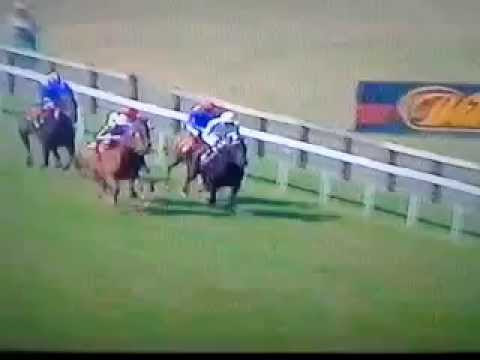 Chimes Of Freedom Falmouth Stakes