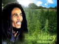 Bob Marley-Destiny