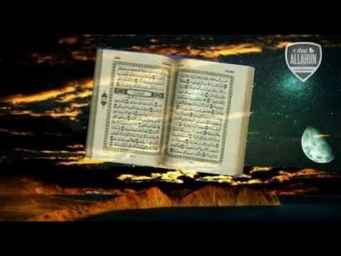 Qaj për vetën tënde! Shejh Shenkiti