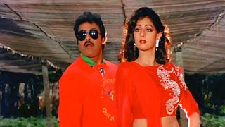 Chiranjeevi Sridevi Evergreen Superhit Video Song 