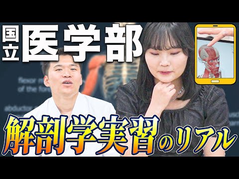 医学科 【解剖学実習前の医学生・医学部受験生は見て】解剖学実習の前に知っておけば後悔しなかった事など。現役医学生が、国立大学の学生生活の理想と現実を紹介します！