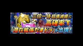 【パズドラ】まったり三位一体で潜在拡張たまドラ集め！