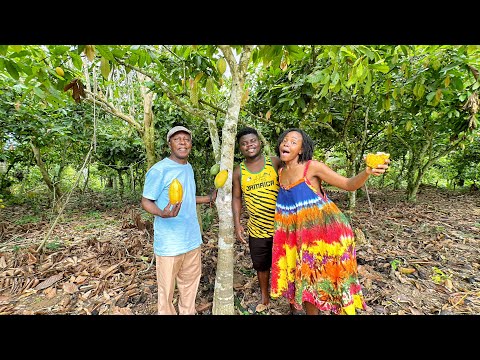 I Took My Kenyan Dad Inside My Ghanaian Husband’s 50Acres Cocoa Farm In Takoradi/Ghana.