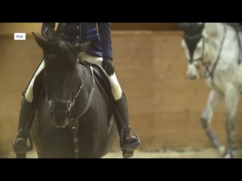 EHV OUTBREAK: Equine world on hold as disease hits Oklahoma