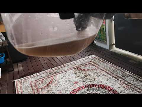 6/7 - perserteppich aus seide reinigen mit prowin wini & sprüh-extraktionskit