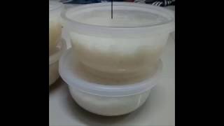 ข้าวหมากครูจันทร์