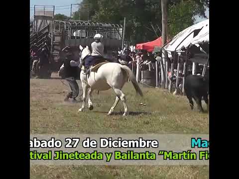 Pialadas de vacunos Campo Andino Santa Fe Parte 3