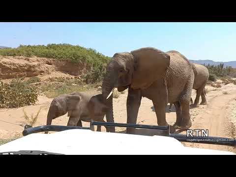 The Namibia you have to see - Damaraland Part 3