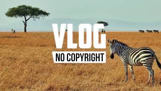 Download lagu Dizaro - Safari (Vlog No Copyright Music) mp3