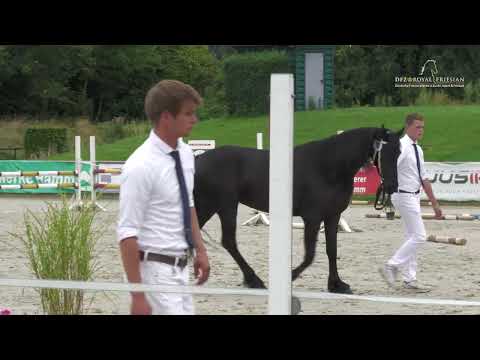 Fokdag | DFZ Hamm 2 | 18 augustus 2024