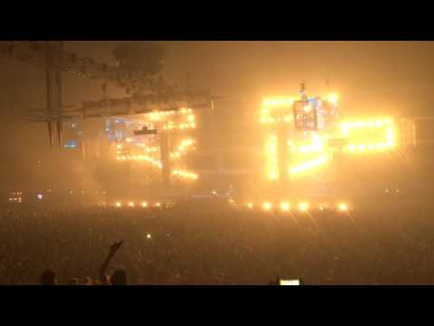 Syndicate 2016 - Mad Dog (Dogfight)