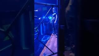 Download lagu Dj bebi putri raja diskotik nz Medan mp3 Download lagu Dj bebi putri raja diskotik nz Medan mp3