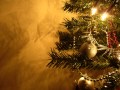 Oh Christmas tree - instrumental 