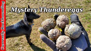 Cutting Mystery Thundereggs // What
