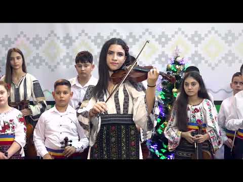 Tania Galbenu   Hora lautareasca