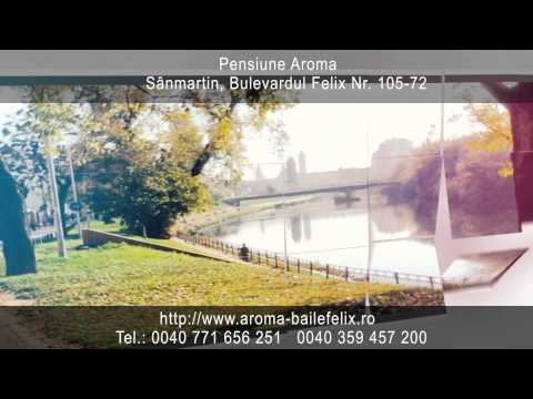 Oferte Baile Felix 1 Mai Oradea Pensiuni Pensiune CAzare Ieftin Oferta