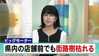 ７月28日 【びわ湖放送ニュース】