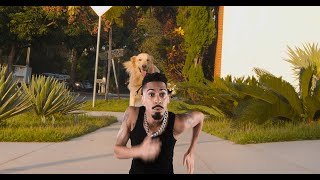 Nego do Gelo Music Video