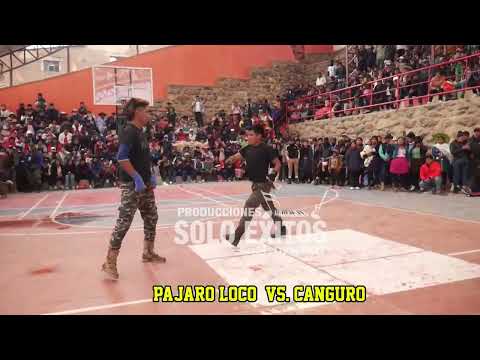 LA GRAN PELEA DE PAJARO LOCO EN PORCO POTOSI