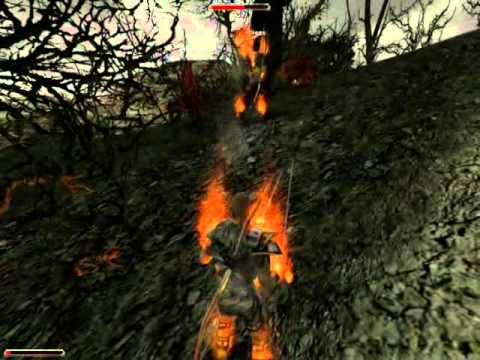 Lets Play: Gothic 2 - Die Nacht des Raben #93 - Feuerwarane, Drachensnapper und eine Miene voller...