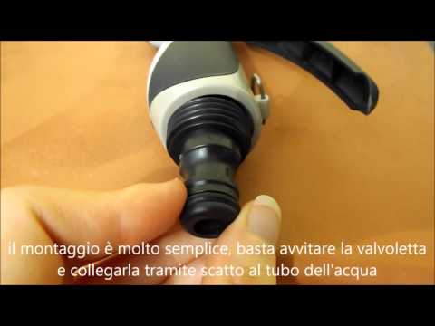 Cosa succede se una ragazza dare un video patogeno Lorgano sessuale maschile e la sua potenzialità
