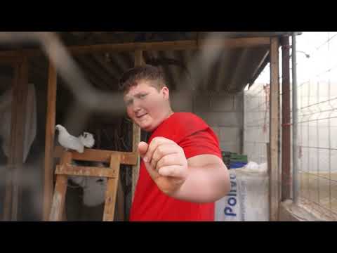 download lagu mp3 mp4 Enseny, download mp3 Enseny free download, download mp3 Enseny