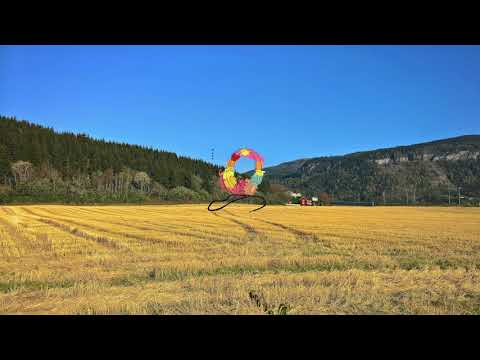 Milos X Ramon - Expectations..