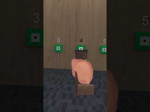 Pro Shooter VR Gameplay Video