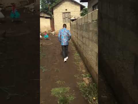@king nice (video chuf)