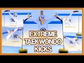 Taekwondo Kicking Sampler | Advanced Kicks & Flip Kicks | GNT