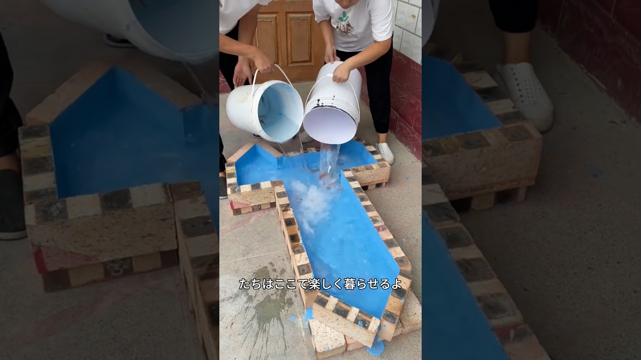 パパとママが素晴らしい水槽を作った