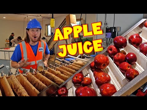 🍎Apple Cider Making 🍎 How Apple Juice is Made 🍎 Awesome Song - Kingdom Kids Zone, Sing With Me - Handyman Hal - Music for Kids