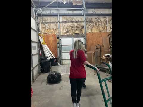 Equal rights equal fights