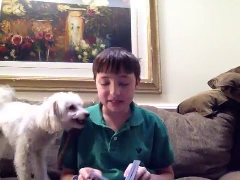 Brachos 1:1-2 L'iluy Nishmat Lenny Spodek