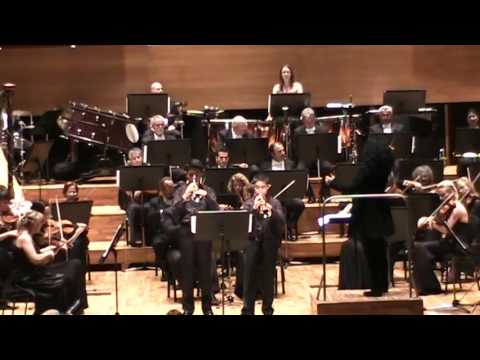 Horovitz - Concertino Classico Mov. I played by Arda Biror & Kayra Yavuz