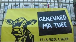Stop à l 'abattage des vaches (Vas y José 2002)
