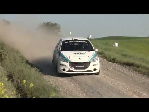 RALLY LIBURNA 2018 BELTRAMINI PERESSUTTI PEUGEOT 208 R2B