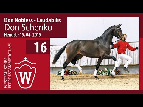 16 Don Schenko Hengst v. Don Nobless - Laudabilis