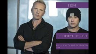 MESH - the traps we made