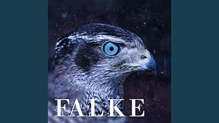 Falke Music Video