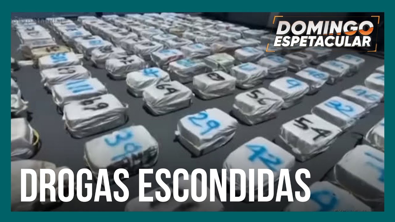 Frutas, vinhos e drogas: quadrilha faz fortuna exportando toneladas de cocaína de portos brasileiros